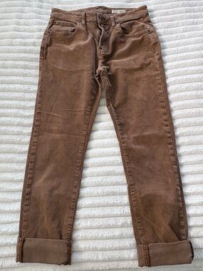 Daniel Cremieux Brown Corduroy Straight Pants